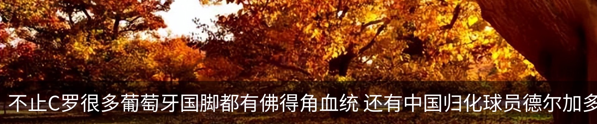 资讯中心